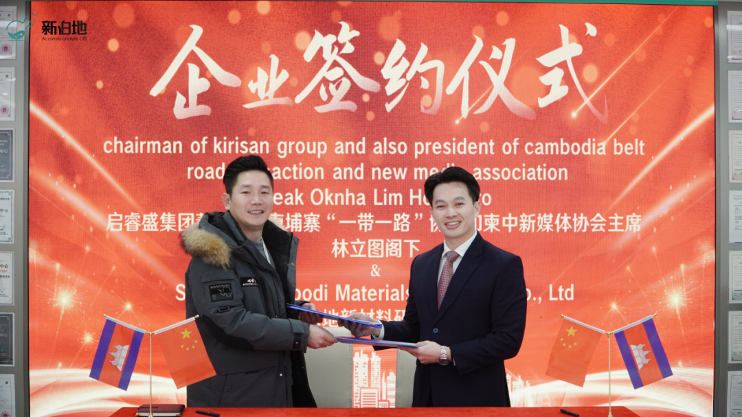 2026年新泊地网站1