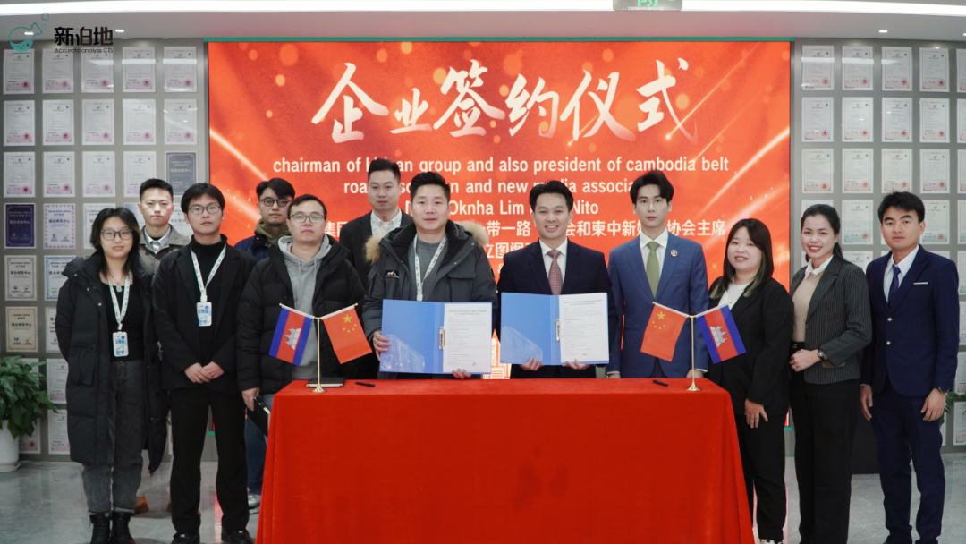 2026年新泊地网站10