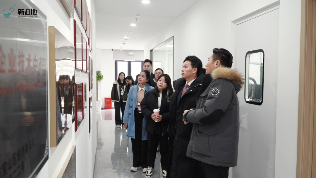 2026年新泊地网站5