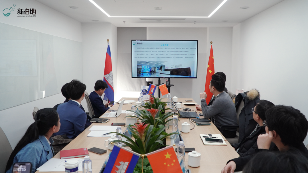 2026年新泊地网站8