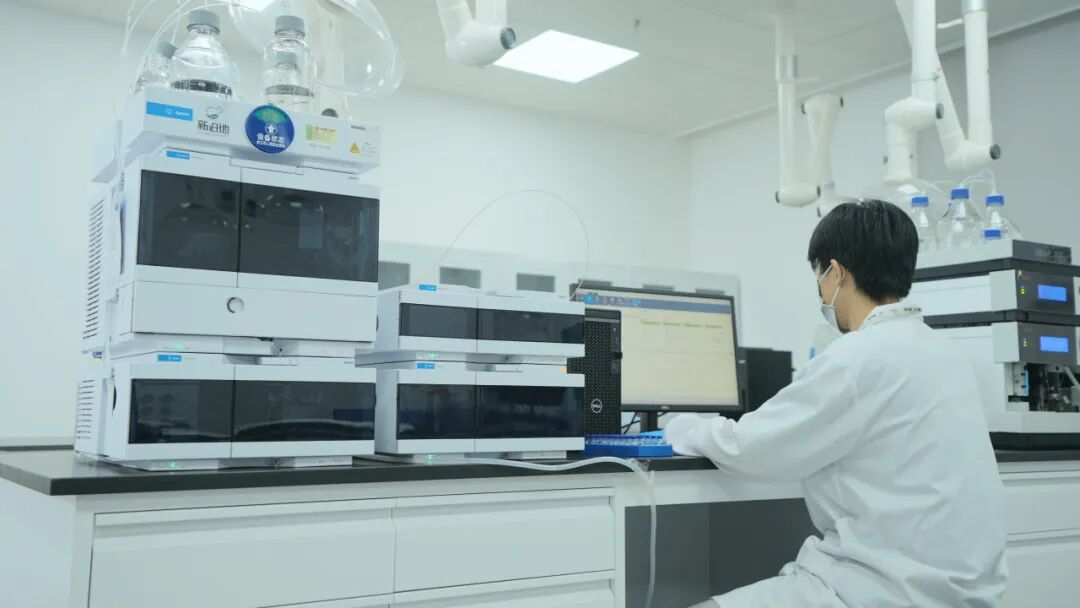 2026年新泊地网站9