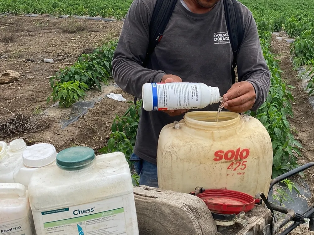 Crop Protection Products analysis