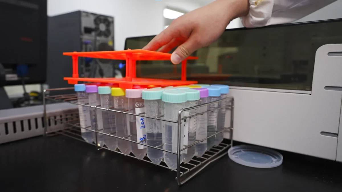 formulation analysis