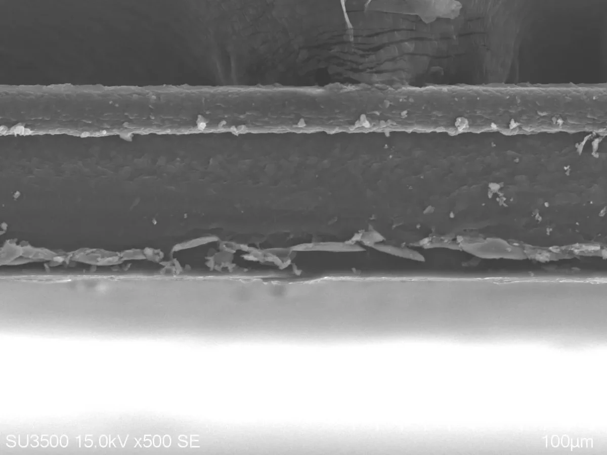 SEM cross section of a multilayer PE film showing its layered structure and 100 μm scale bar